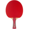 Rakietka Joola Spider Light 54215